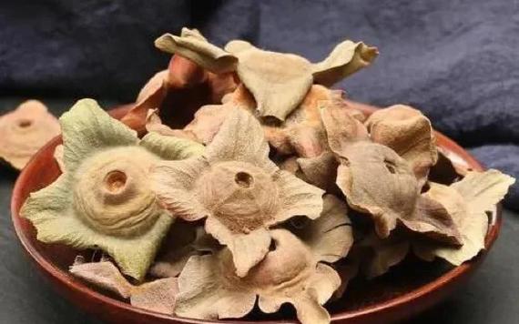 中药云子别名叫什么