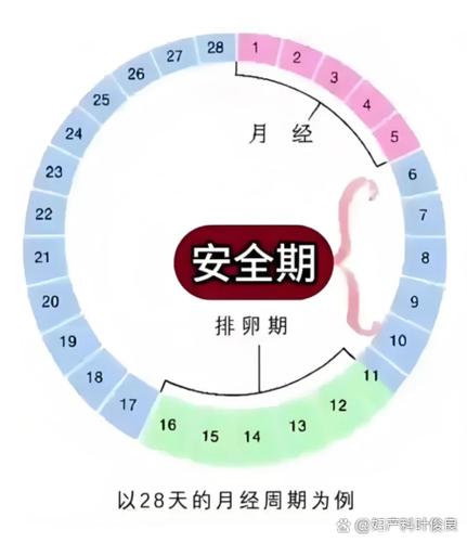50岁有例假还排卵吗
