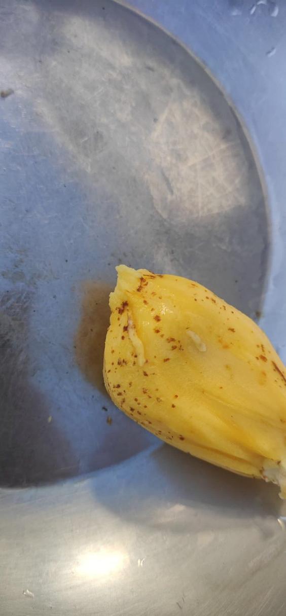 菠萝蜜坏了最明显症状