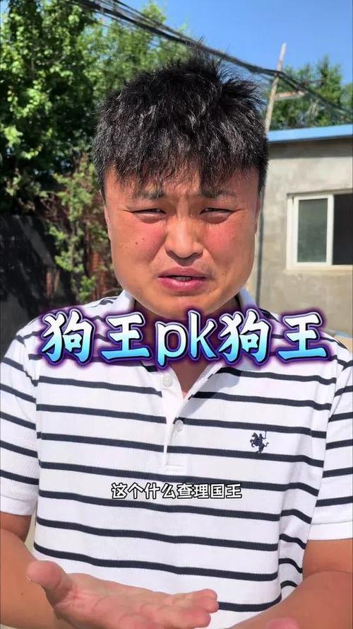 狗王上达人秀视频完整版