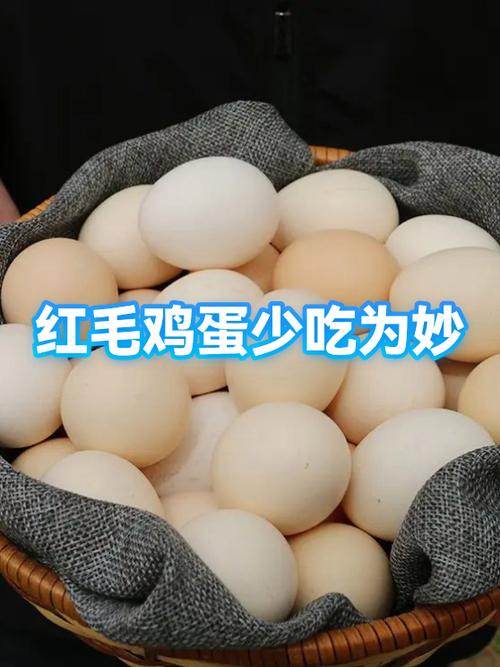 毛鸡蛋怎么去掉小鸡毛