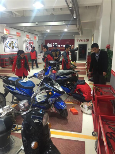 台铃客服电话95338有用吗
