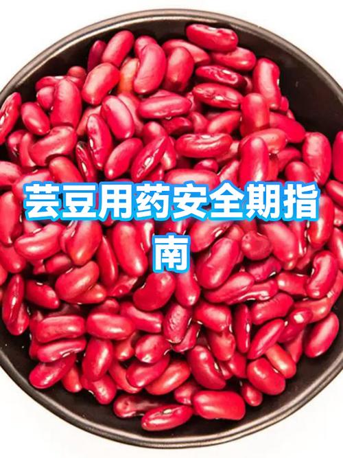 阿米西达和阿米妙收哪个效果好