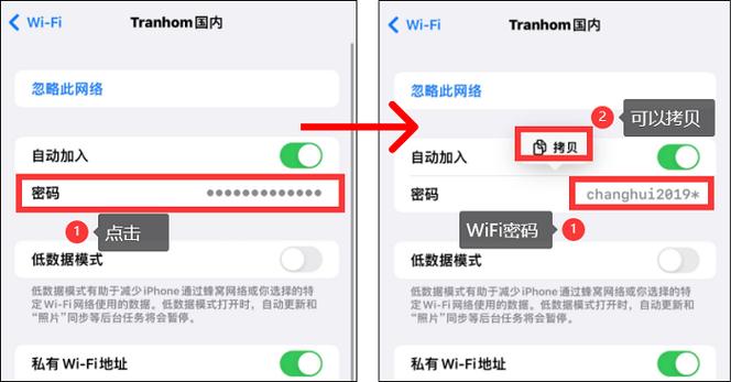 苹果手机查看密码记录