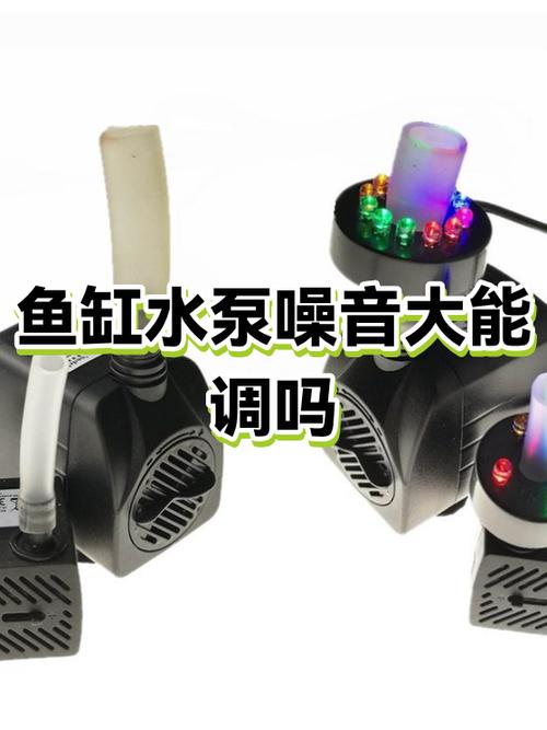 鱼缸里的水泵响声大是为啥