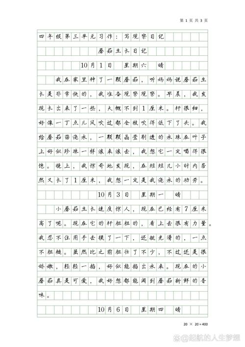 蘑菇钉打卡日记