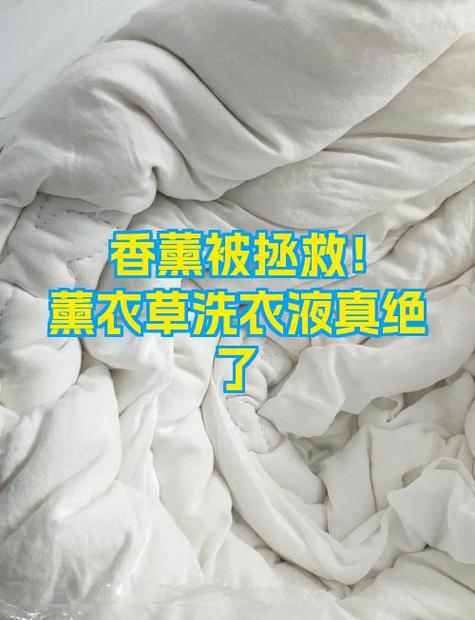 洗衣液变质了还能用吗游戏截图