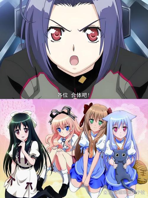 空之轨迹sc寻找迷路猫咪