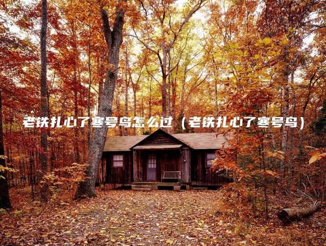 扎心了老铁寒号鸟