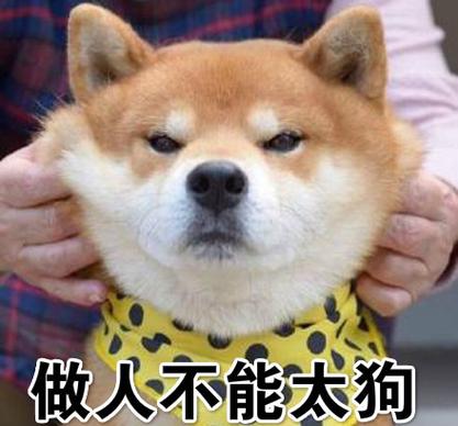 女生骂你太狗啥意思游戏截图