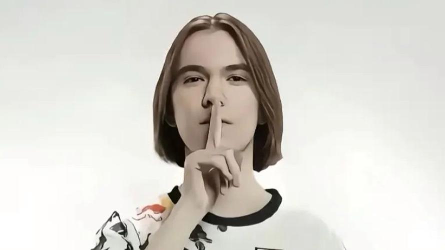 donk“嘘”手势头像