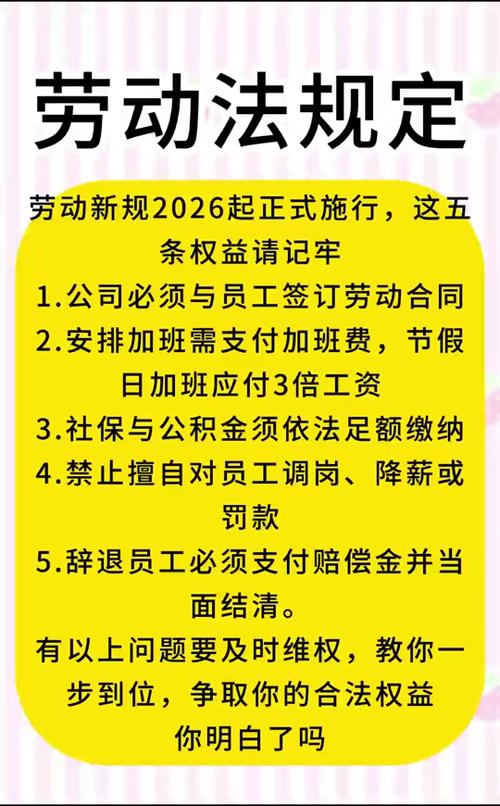 2026超龄劳动法最新规定截图