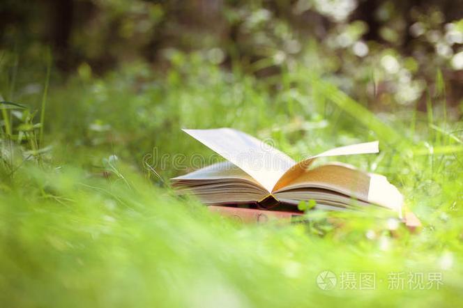 文件回收站清空了能恢复吗