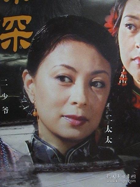 宅院深深电视剧