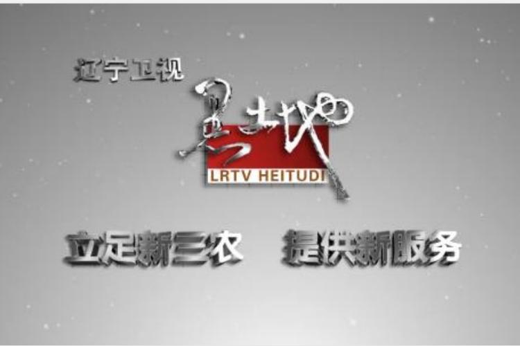 辽宁卫视免费观看入口缩略图