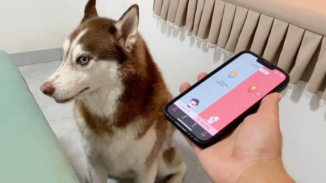 狗语狗狗翻译器免费缩略图