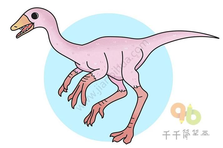 似鸟龙简笔画