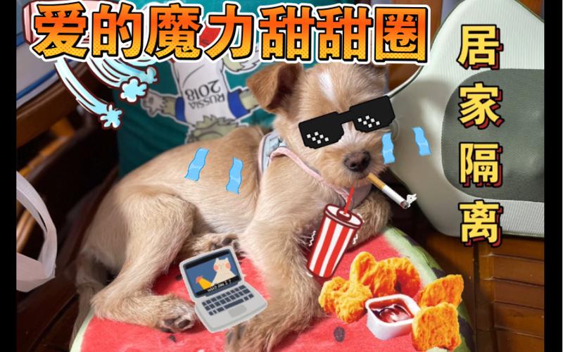 爱的魔力甜甜圈破解版缩略图