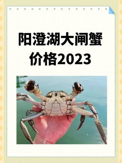 大闸蟹最新价格走势图标