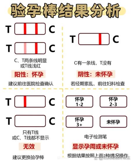 什么是E T C