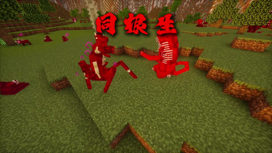 血肉vs真菌