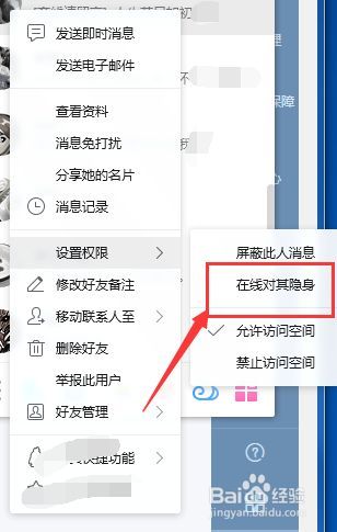 访问对其隐身 什么意思