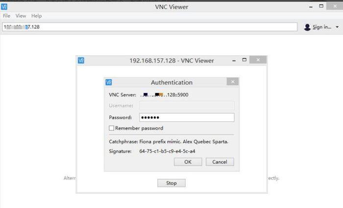 vnc通用密码截图