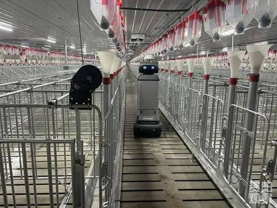 养猪工具