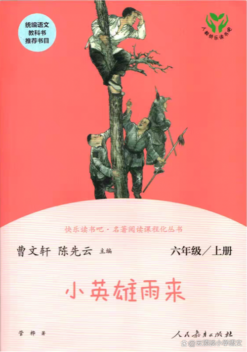 晋江雨来的小说