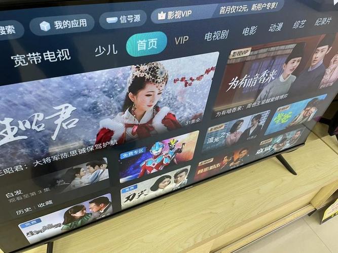两个海信电视共用一个vip图标