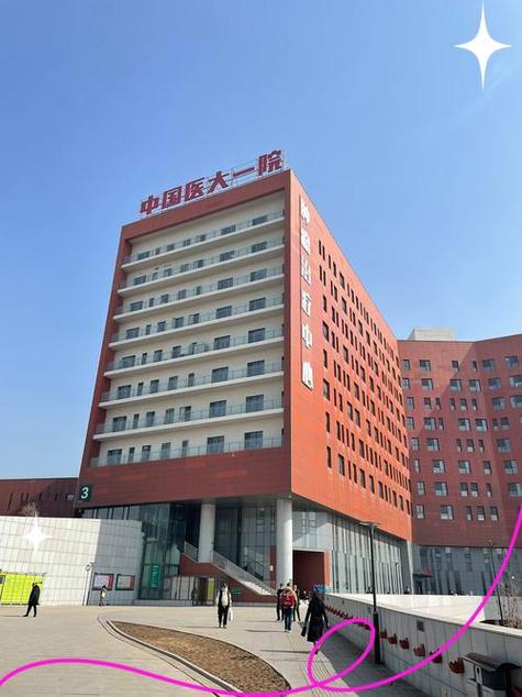 沈阳医大一挂号预约挂号