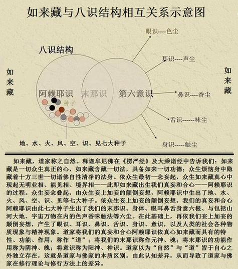 三细六粗与八识关系图