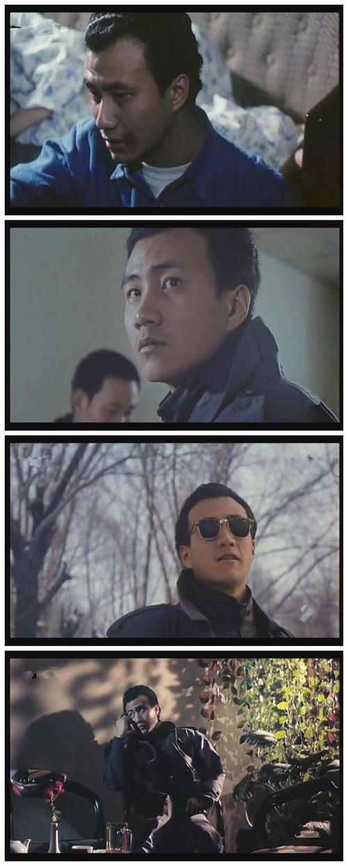 胡军代表作