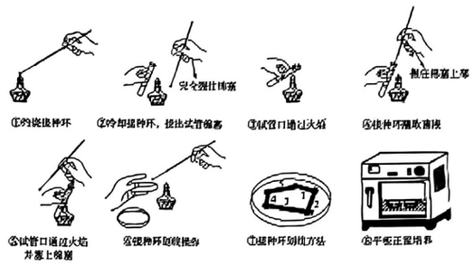限制换位