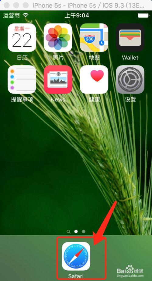 safari怎么变成pc端图标