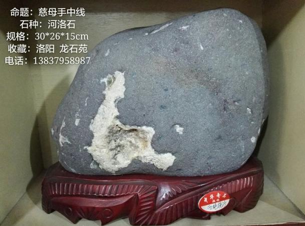 中药龙石是什么