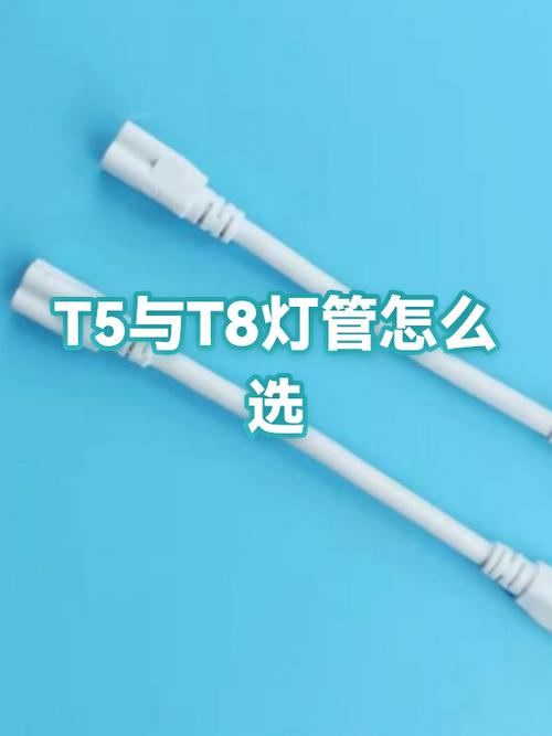 t5和t8灯管能互换吗