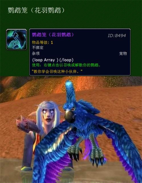 魔兽世界花羽鹦鹉图片