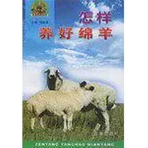 怎样养好绵羊