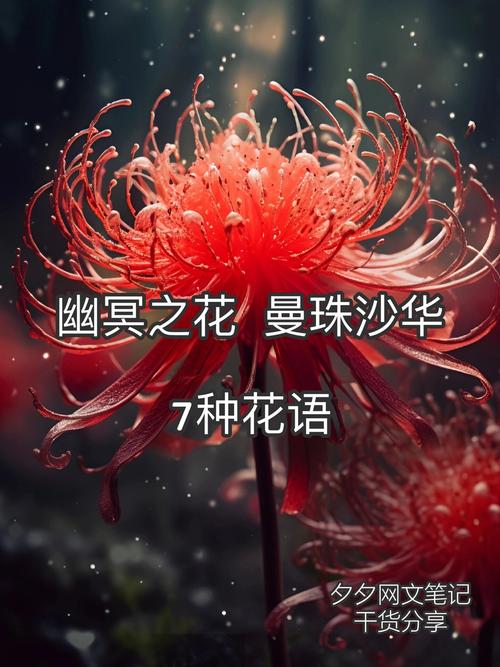 彼岸花带蝠翼御魂