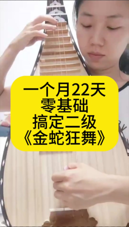 琵琶版金蛇狂舞