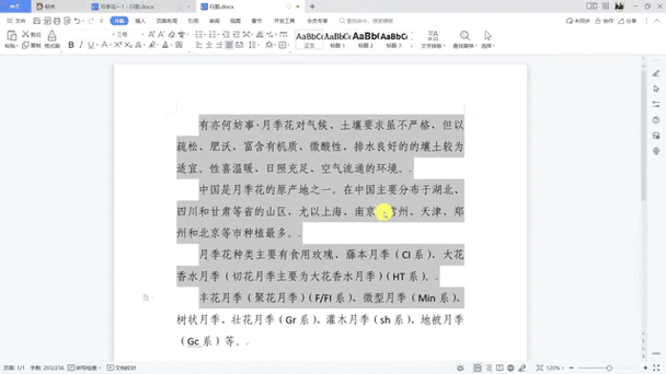 文档两段之间间隔很大