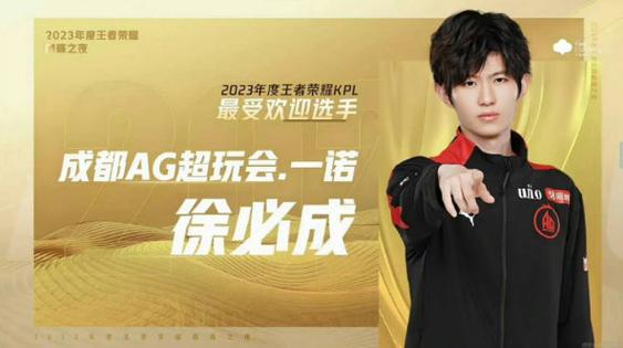 2023年王者荣耀选手数据缩略图
