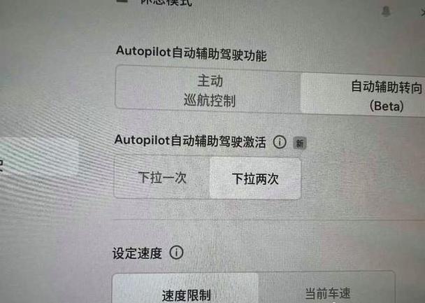苹果轻触两下home键是干嘛的