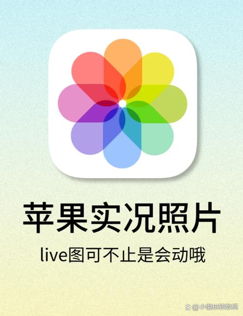 苹果设置live壁纸不动