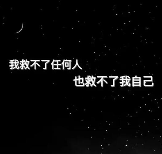 不识爱恨最心动