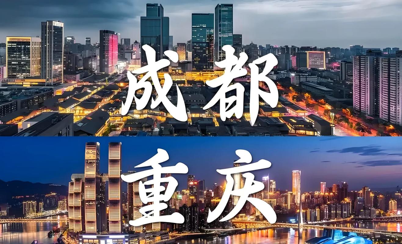 重庆狼队vs成都ag回放截图