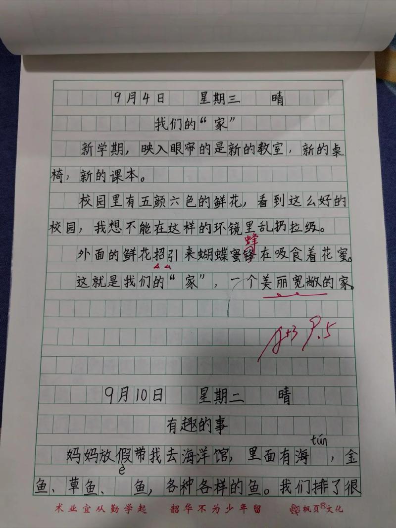icily日记官网下载