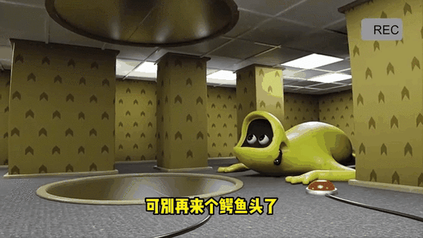 darkroom软件内容图标