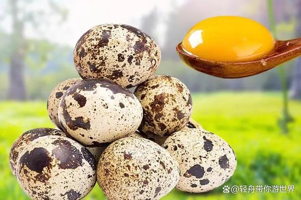 网上鹌鹑蛋50个才10能吃吗